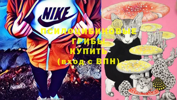 МДПВ Кинешма