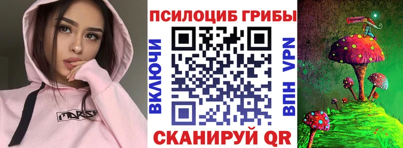 Купить закладки  Сенгилей  Псилоцибиновые грибы Magic Shrooms 